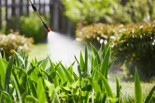 24/7 Emergency Mosquito Control experts in Roland, AR